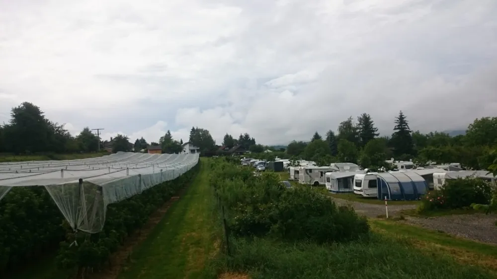 Campinggarten Wahlwies