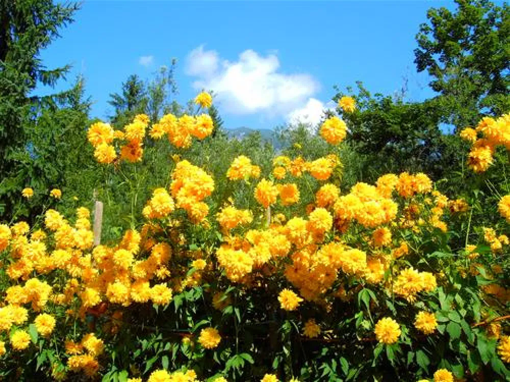rubi-camp Oberstdorf