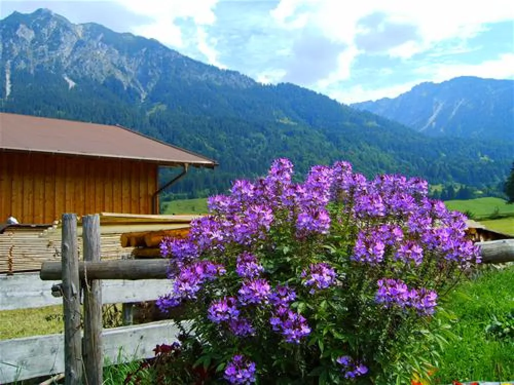 rubi-camp Oberstdorf