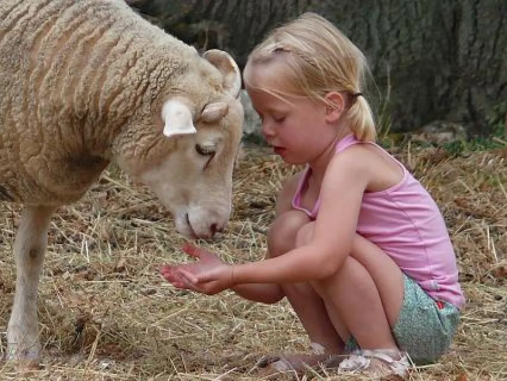 Camping Le Chant-Hibou