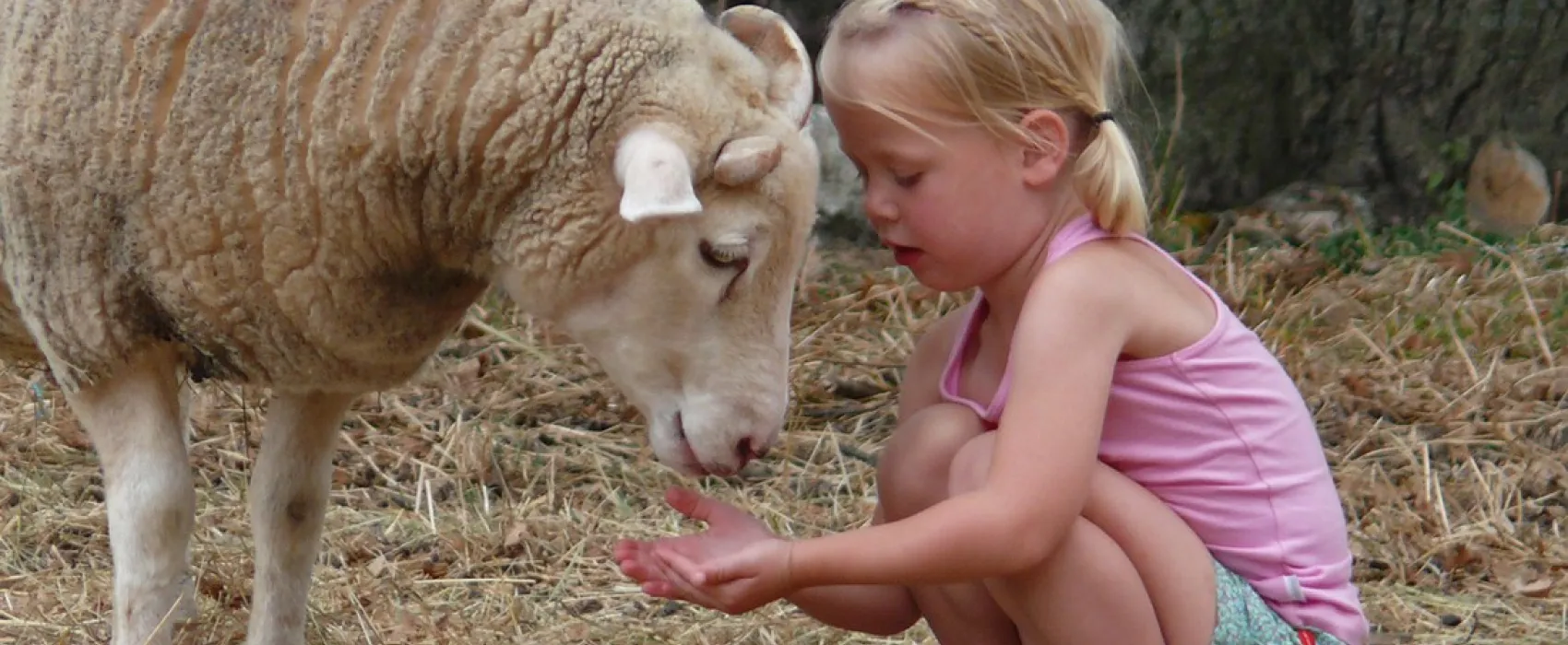 Camping Le Chant-Hibou