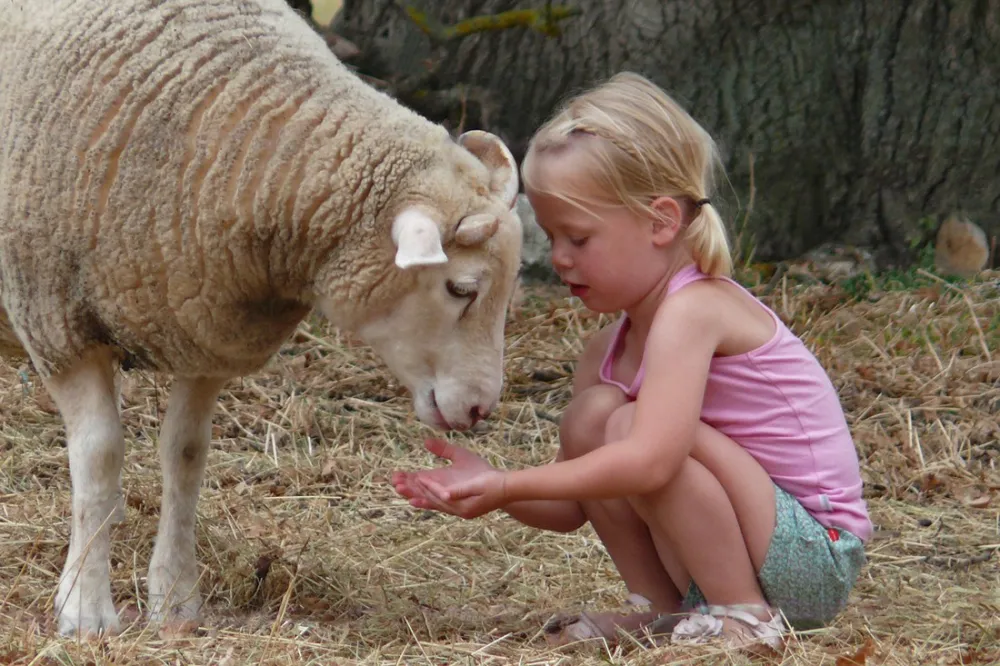 Camping Le Chant-Hibou