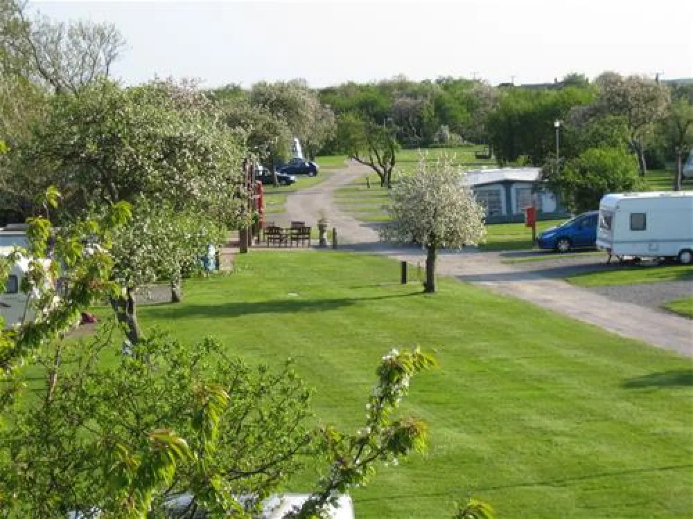 Orchard Park Tour. C. & C. P.