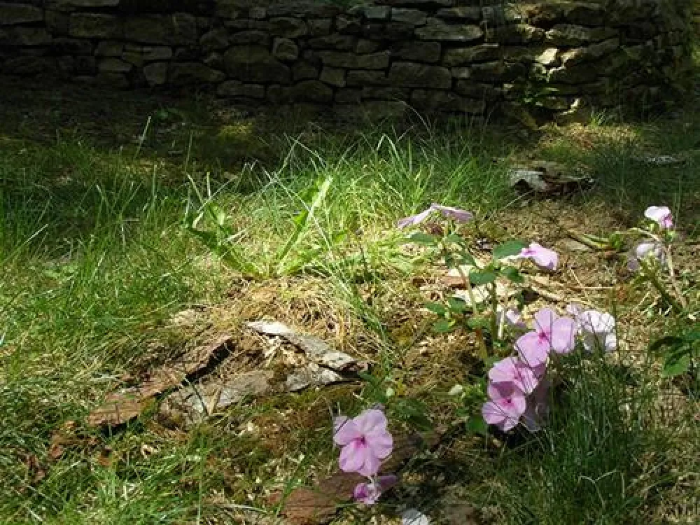 Camping Municipal Du Lac