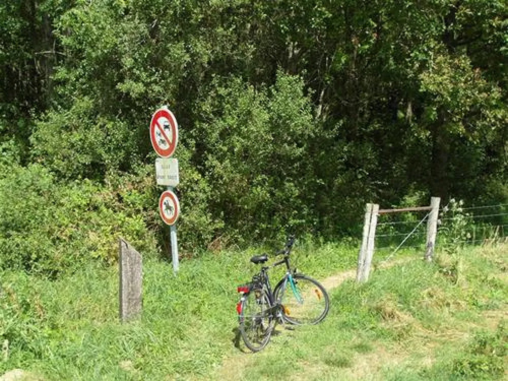 Camping Municipal Du Lac