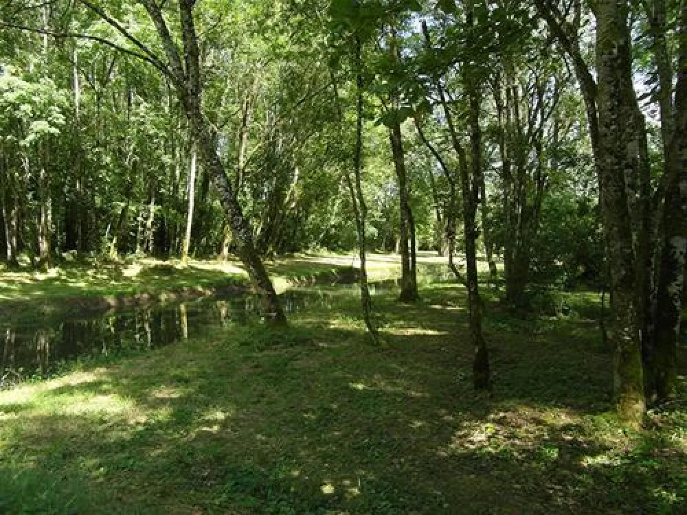 Camping Municipal Du Lac