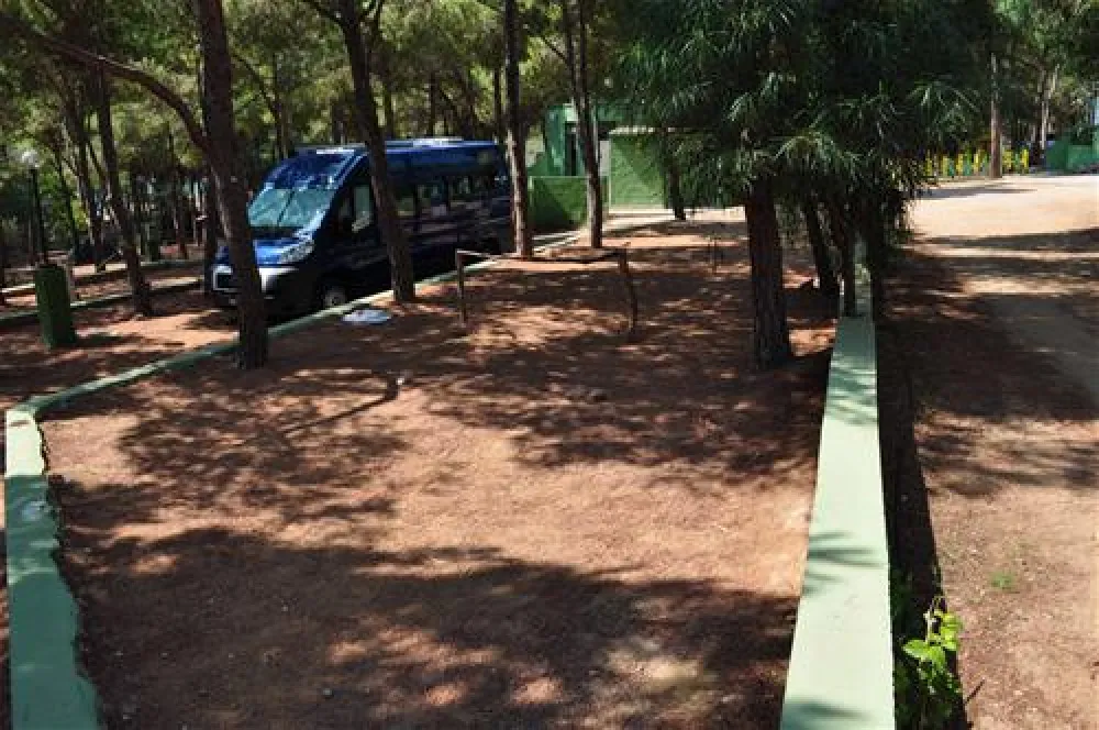 Campeggio Pini e Mare