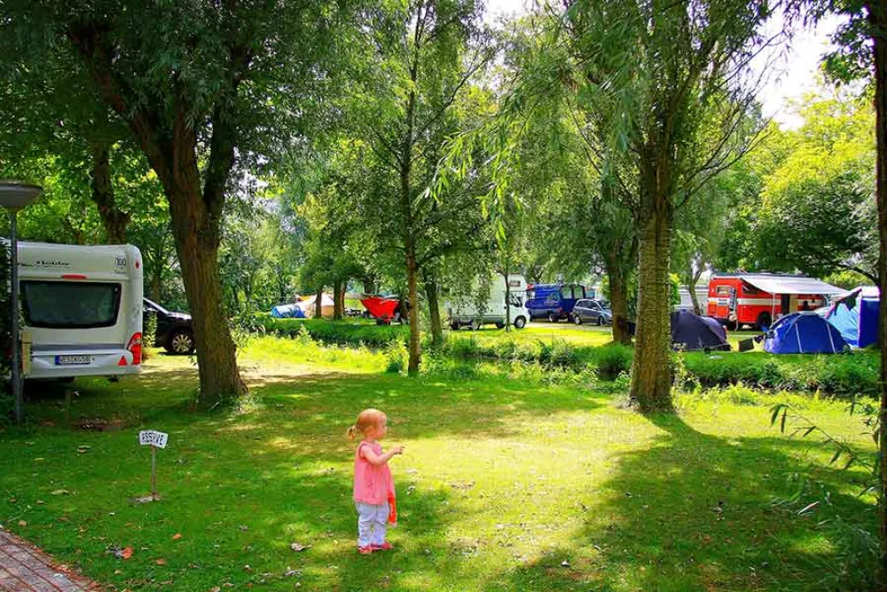 Camping Het Rietveen