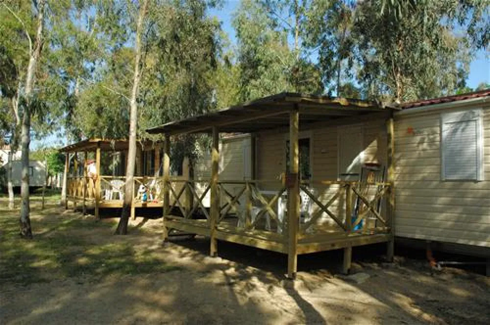 Camping le Dune