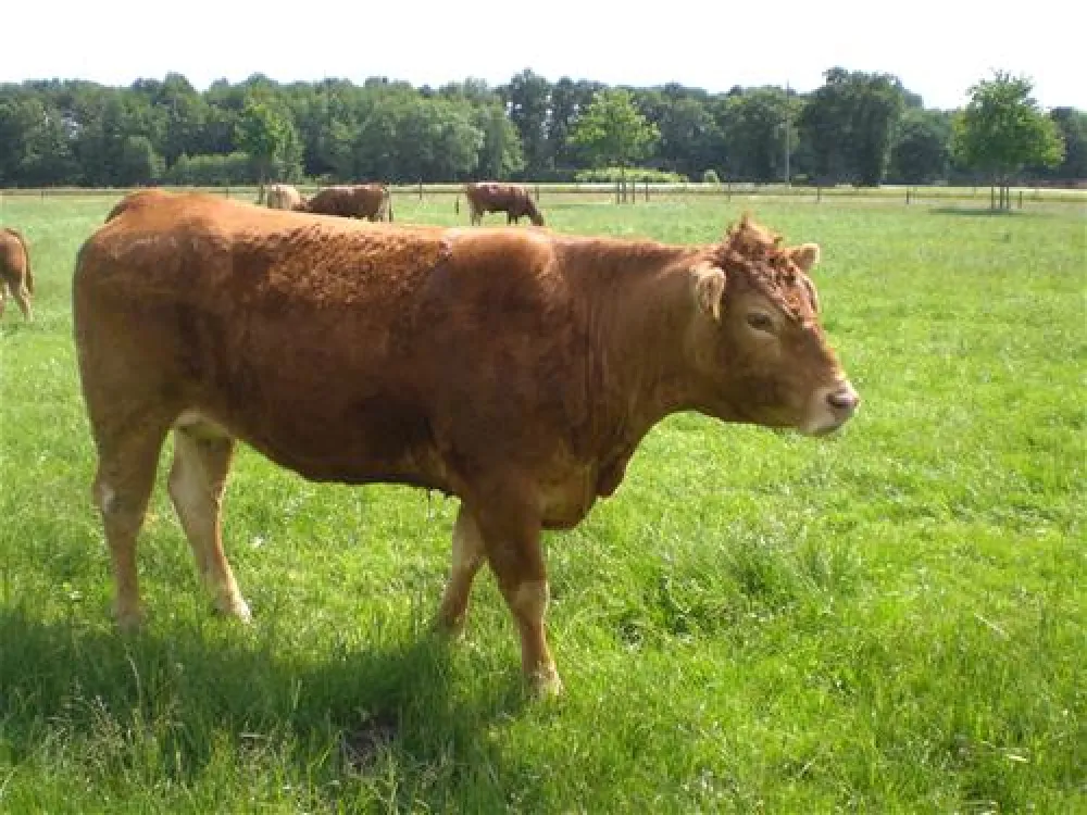 Campingpark Kerstgenshof