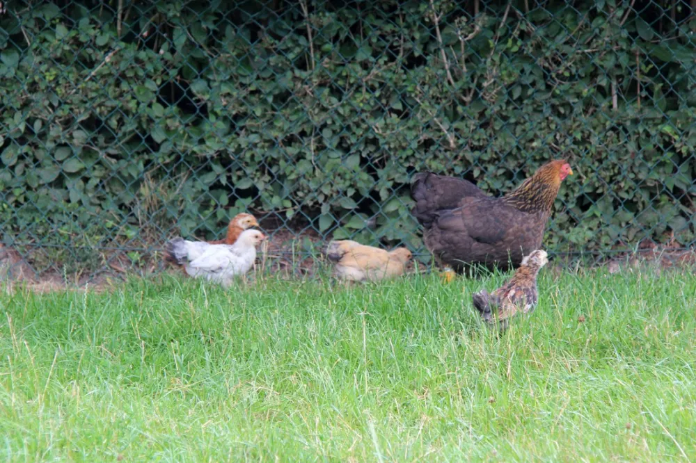 Campingpark Kerstgenshof