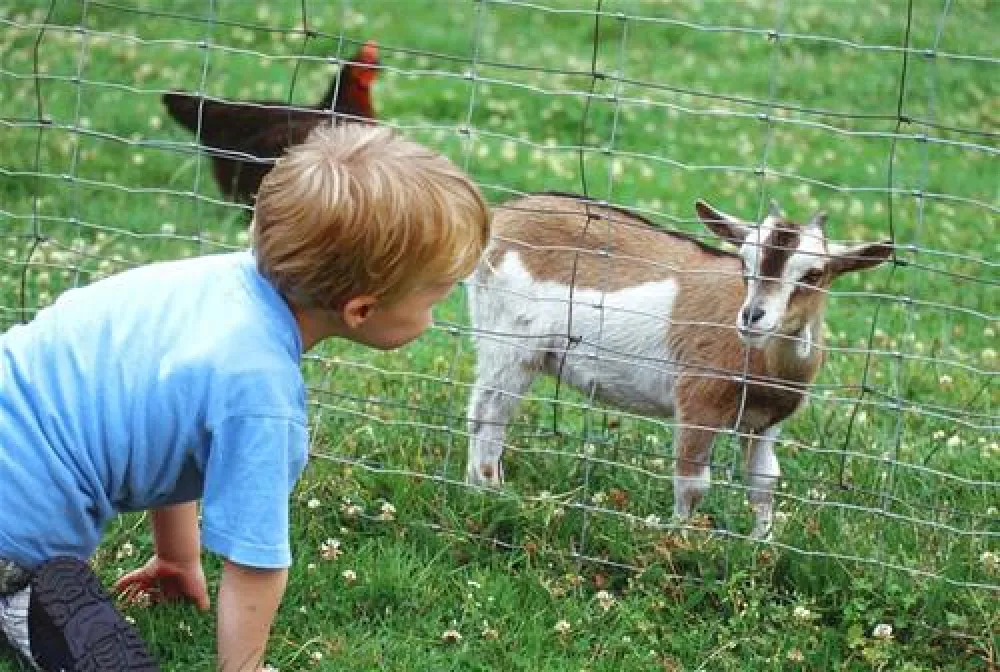 Campingpark Kerstgenshof