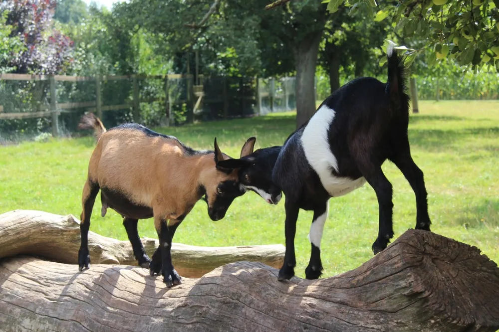 Campingpark Kerstgenshof