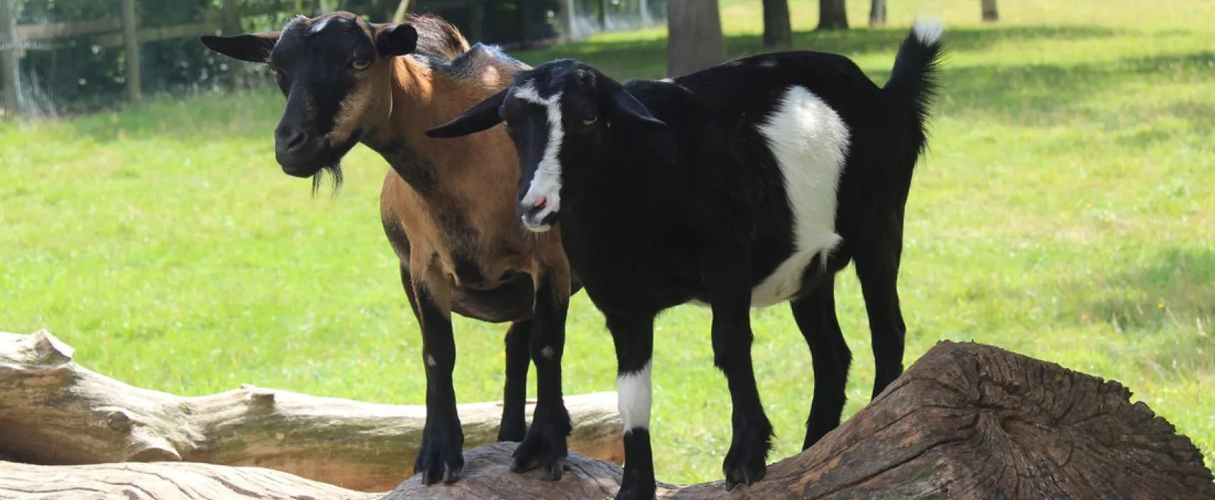 Campingpark Kerstgenshof