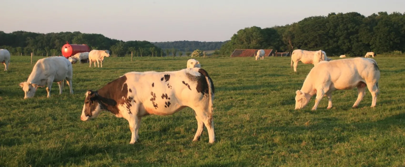 Camping De Kloostermuur