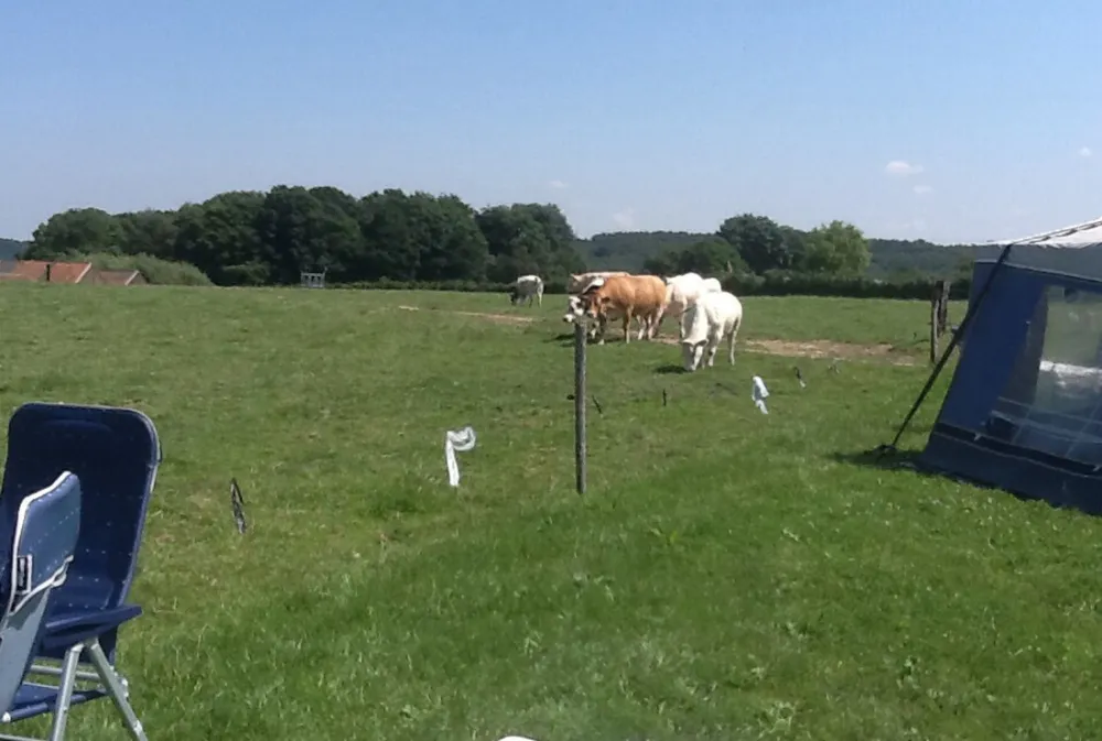 Camping De Kloostermuur