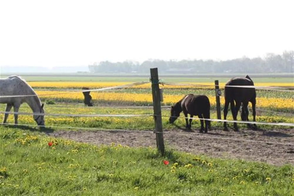 Boerencamping t´Lemsterhop