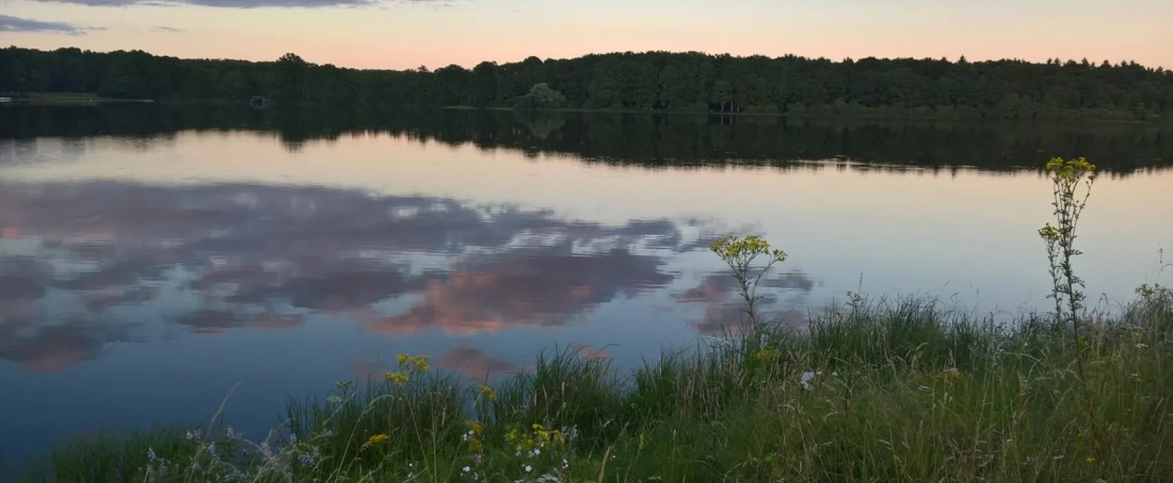 Camping Municipal La Calanque