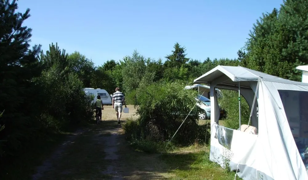 Tolne Bakker Camping