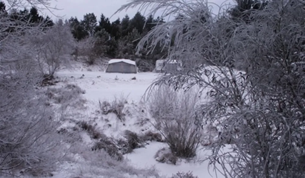 Tolne Bakker Camping