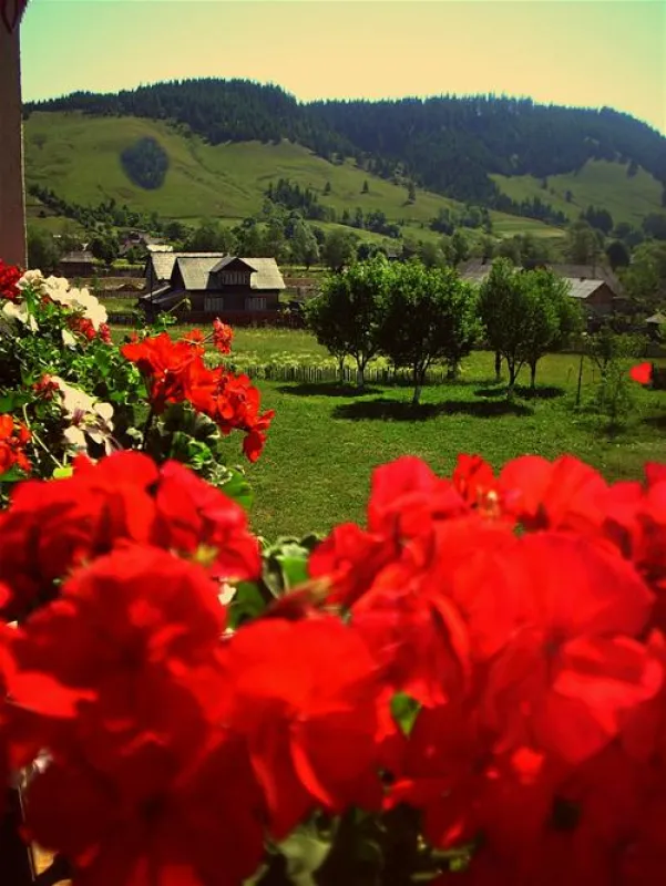 Camping & Pension Cristiana