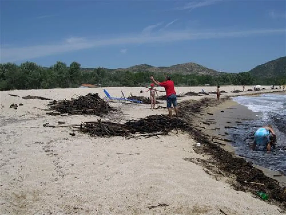 Thalatta Kalamitsi Village Camp