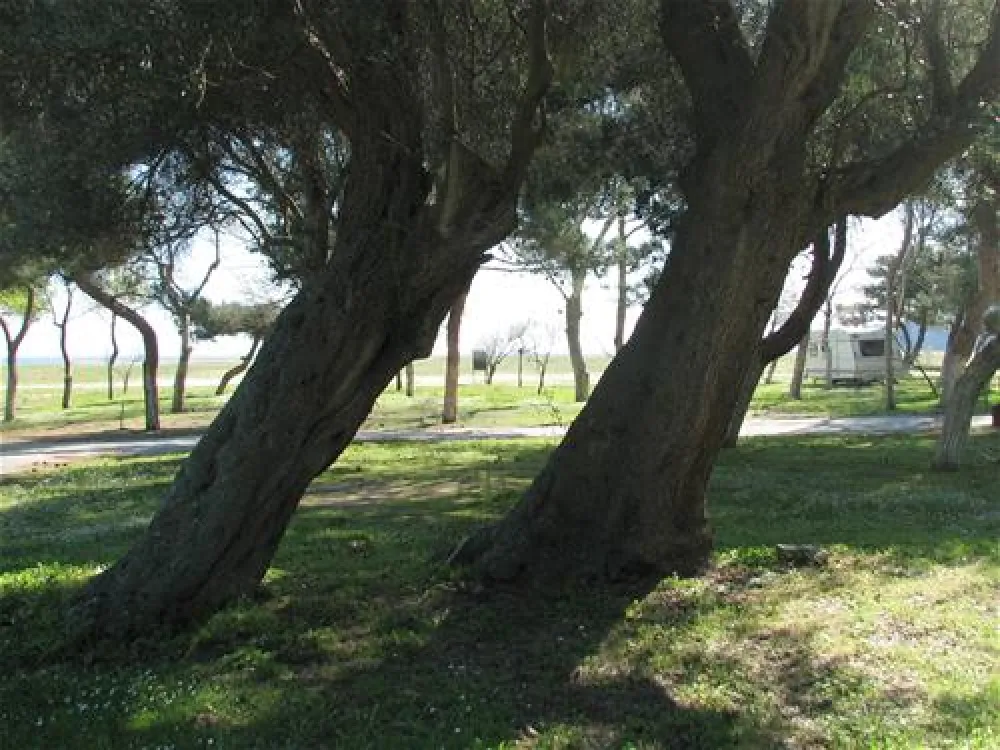 Thalatta Kalamitsi Village Camp