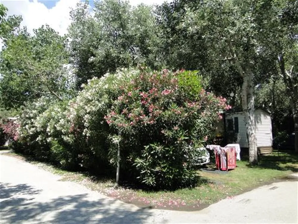 Thalatta Kalamitsi Village Camp