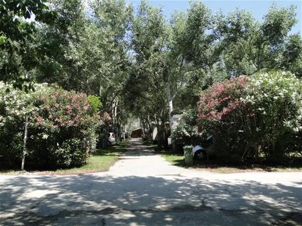 Thalatta Kalamitsi Village Camp