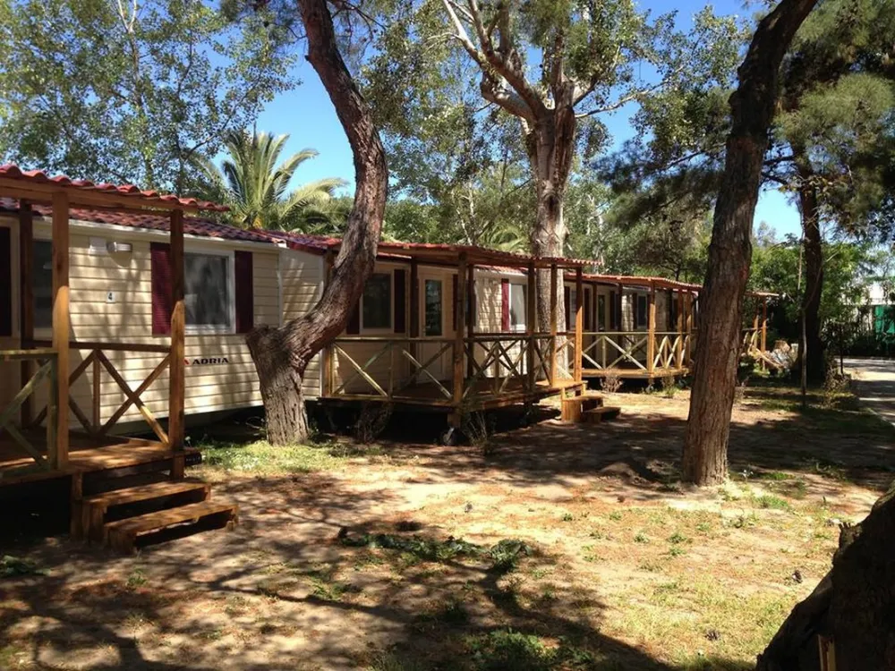 Thalatta Kalamitsi Village Camp