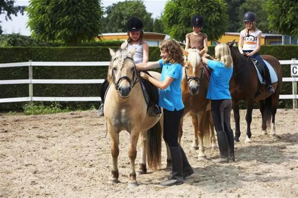 Vakantiepark Eiland van Maurik