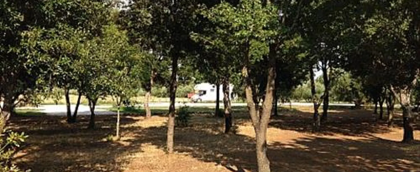 Agricamper Impalancati