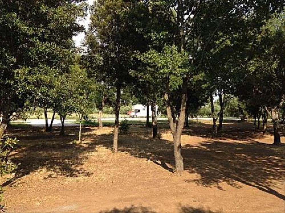 Agricamper Impalancati