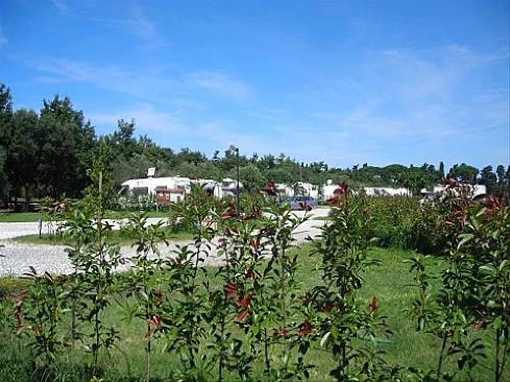 Agricamper Impalancati