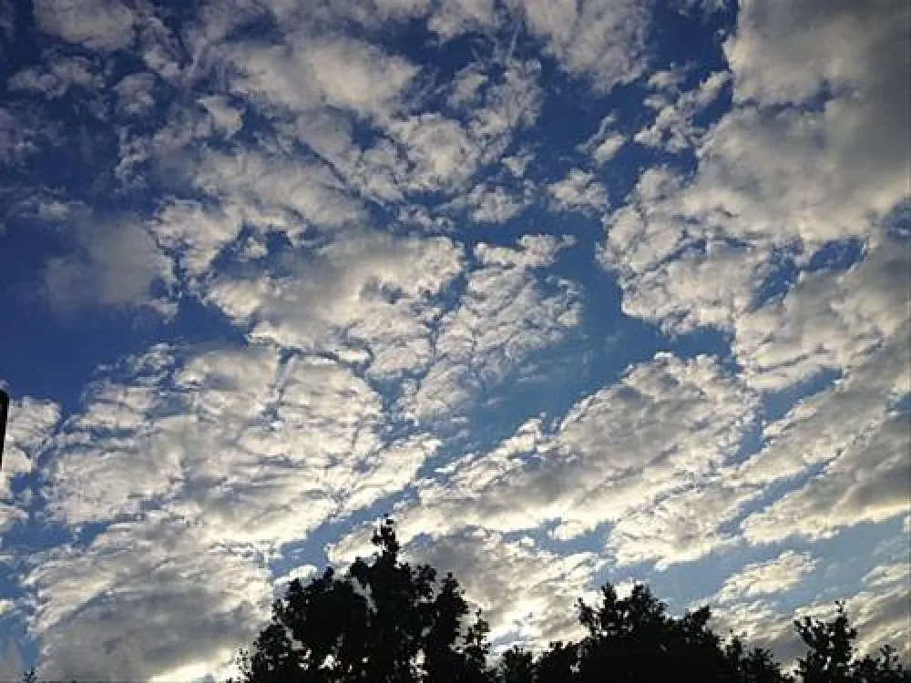 Agricamper Impalancati