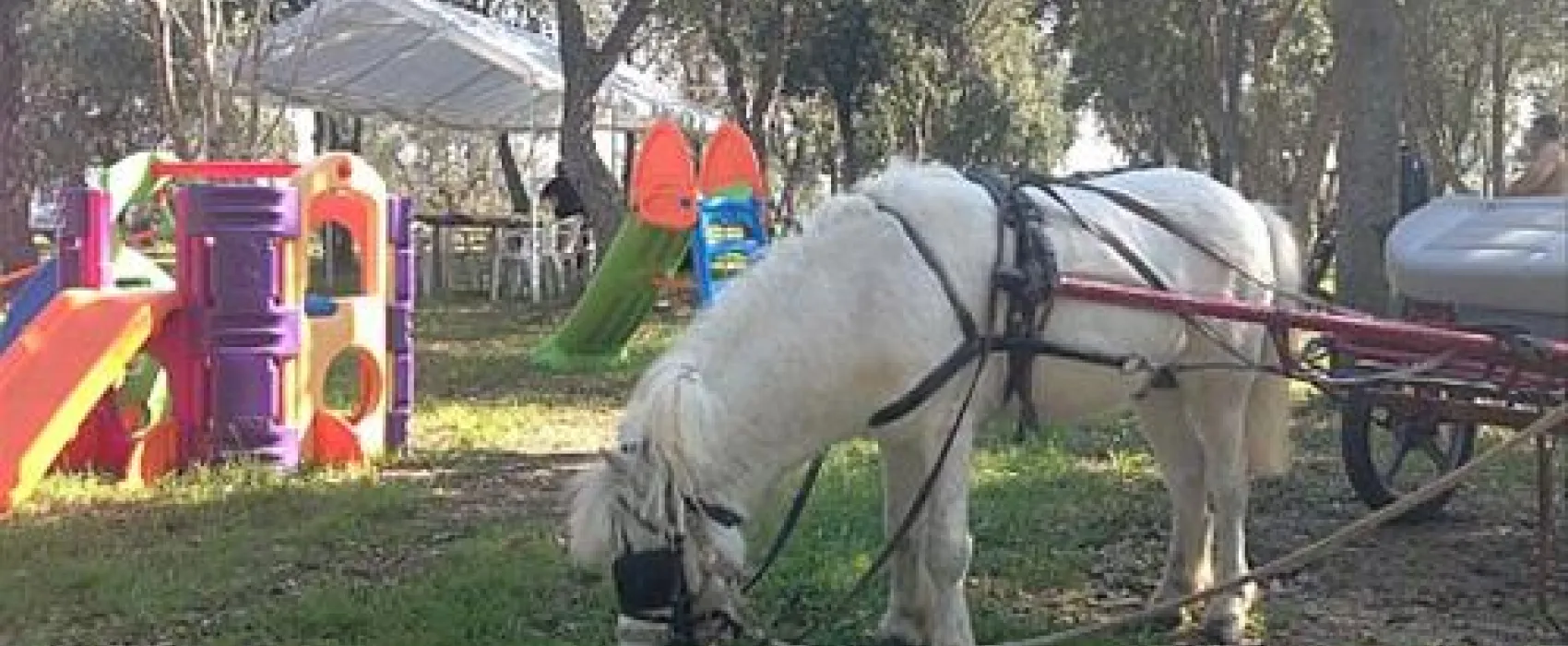 Agricamper Impalancati