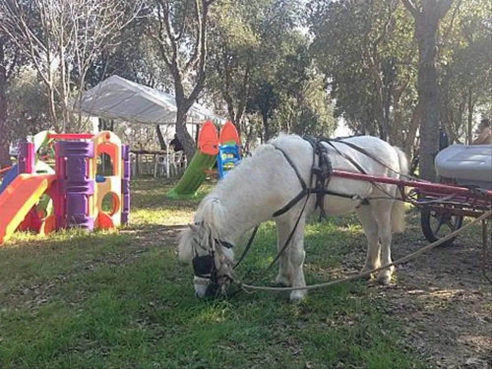 Agricamper Impalancati