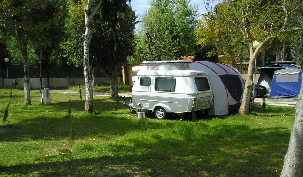 Camping los Patos