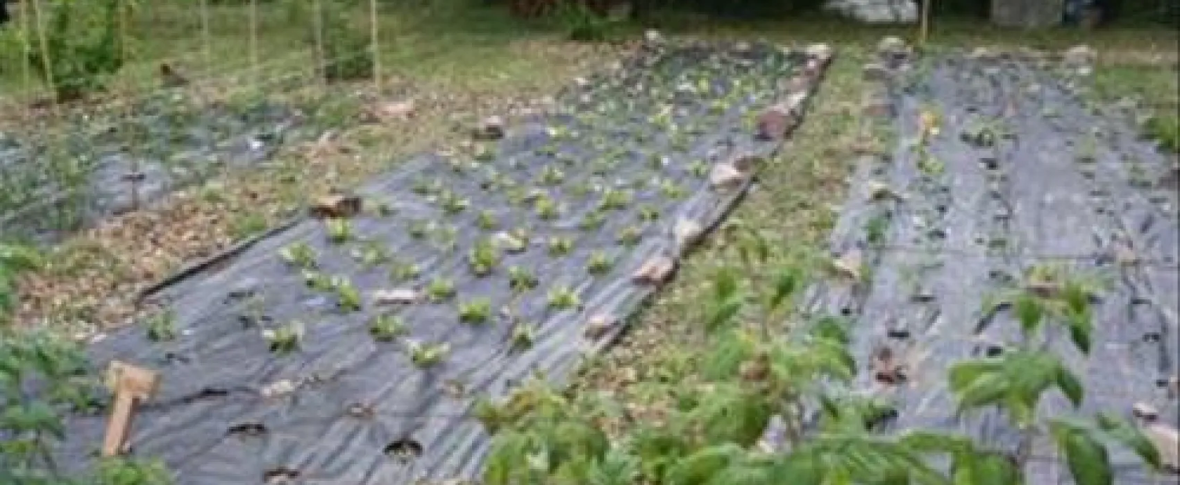 Jugendnaturzeltplatz Wiesbaden