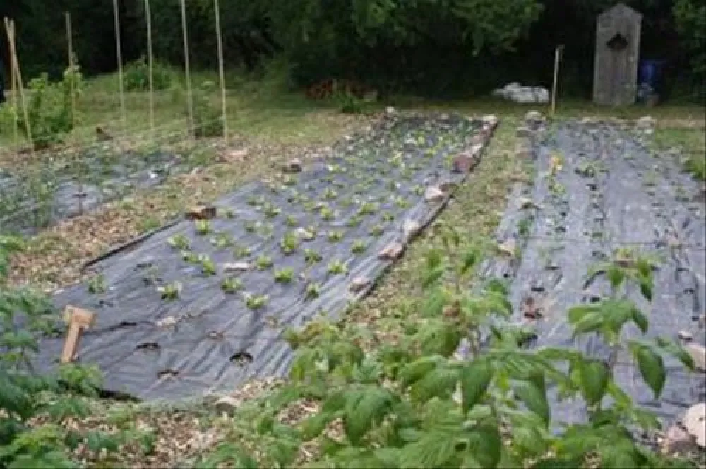 Jugendnaturzeltplatz Wiesbaden