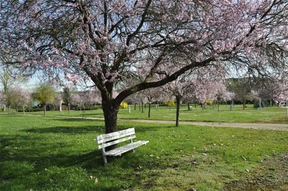 Camping Metz & Nancy