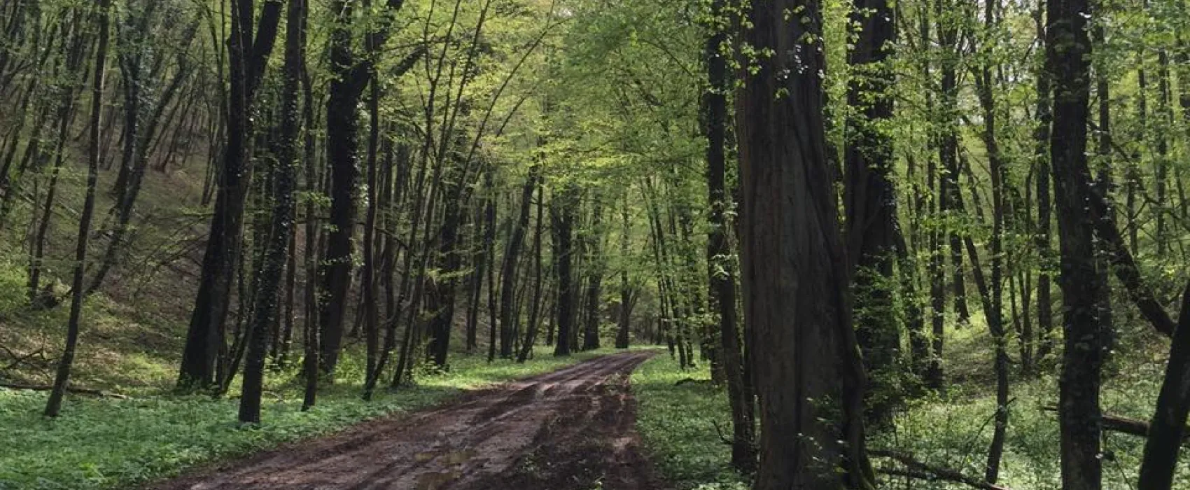 Camping Metz & Nancy