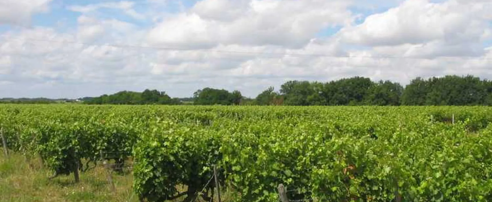 Camping Municipal Le Bec De Cisse  