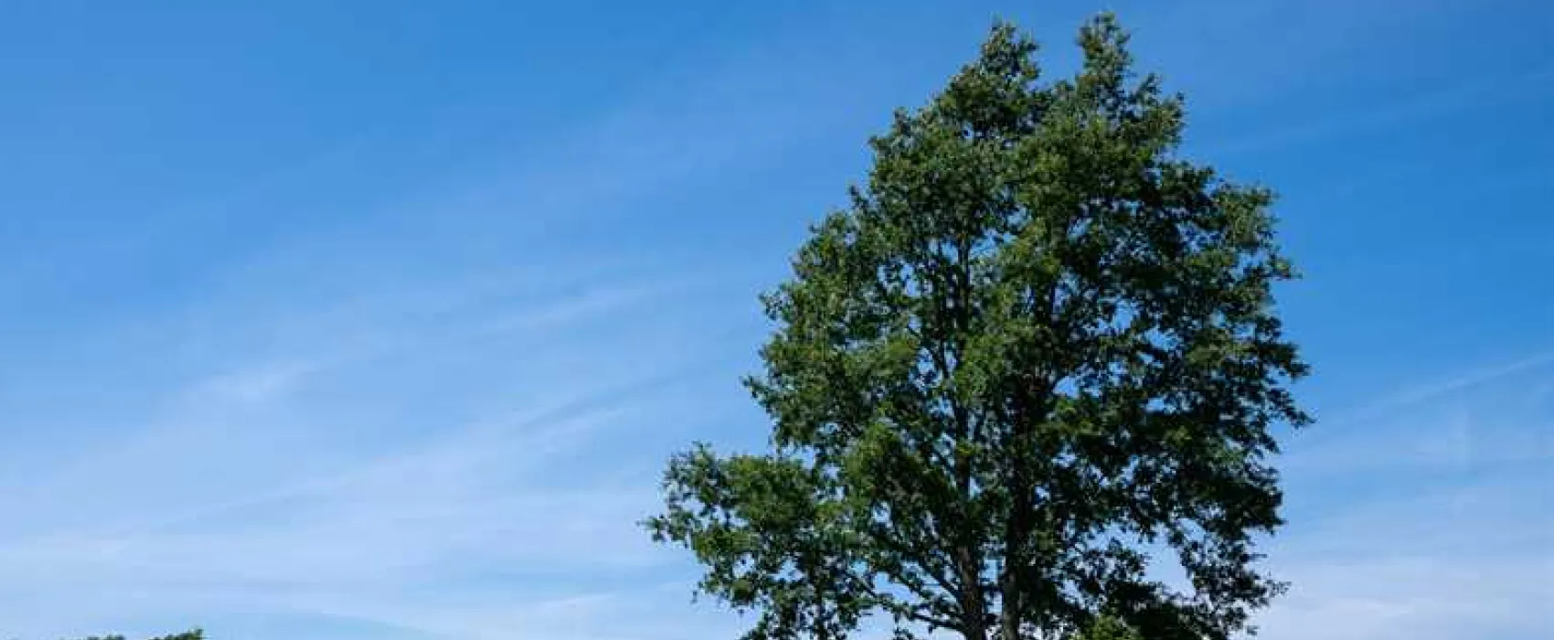 Crowborough Camping and Caravanning Club Site