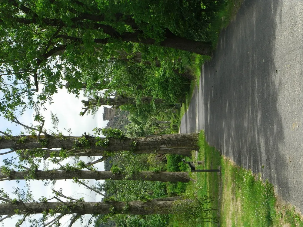 Cano&euml; Gorges du Tarn
