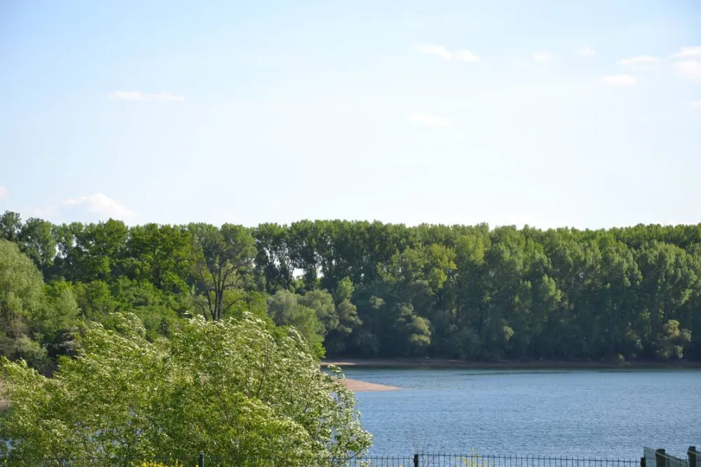 Inselcamping Kollersee