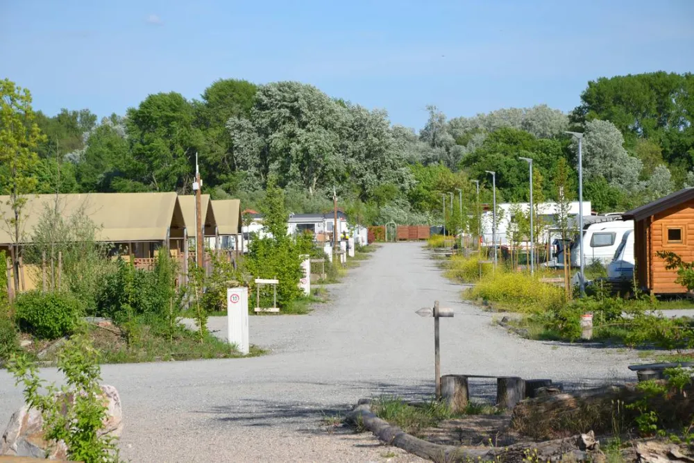 Inselcamping Kollersee