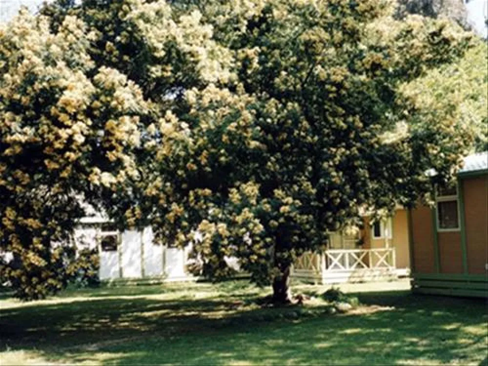 Camping Marina Di Sorbo