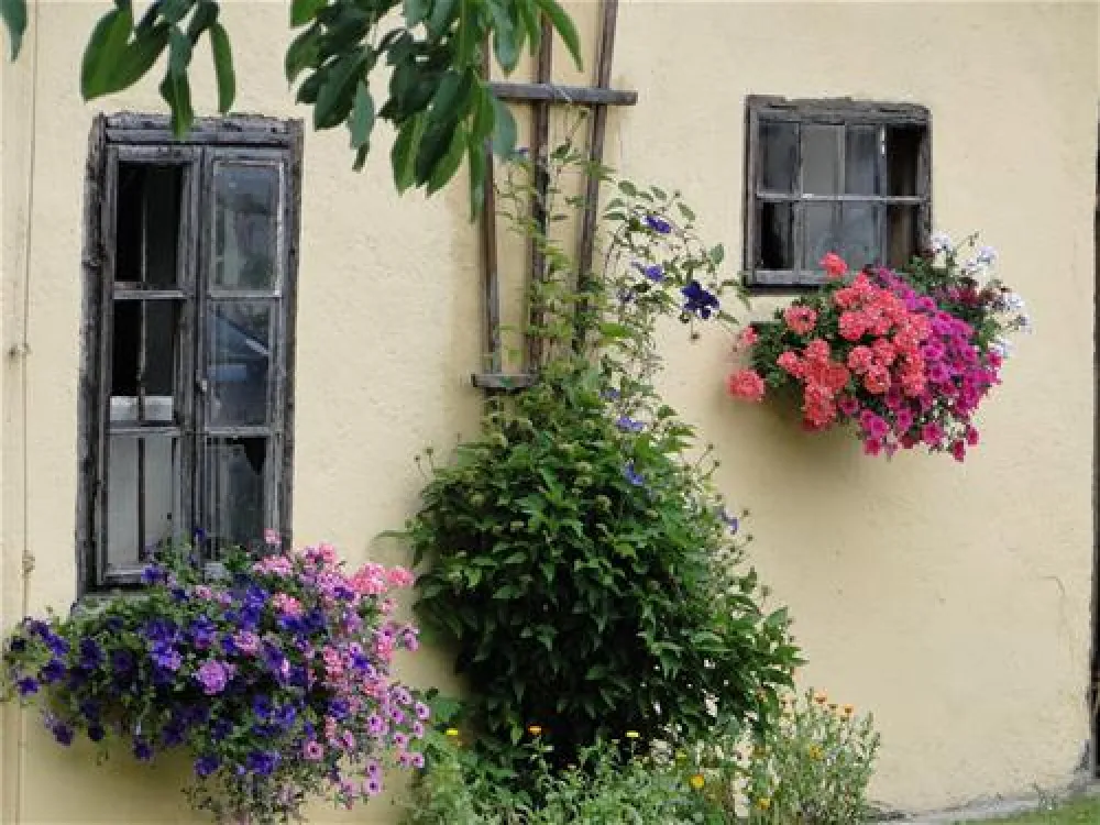 Terrassen-Camping Traisen