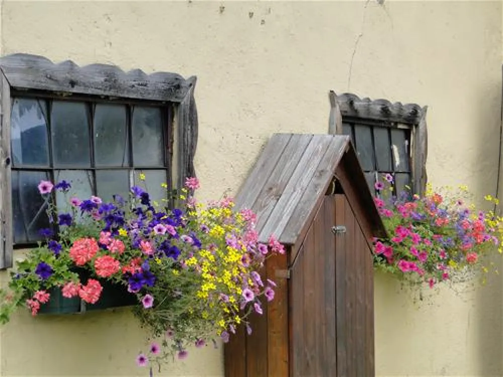 Terrassen-Camping Traisen